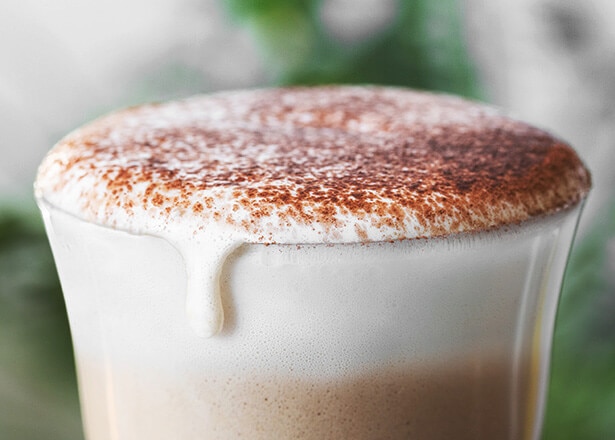 MilkEasy Cappuccino Maker for Milk | Lavazza