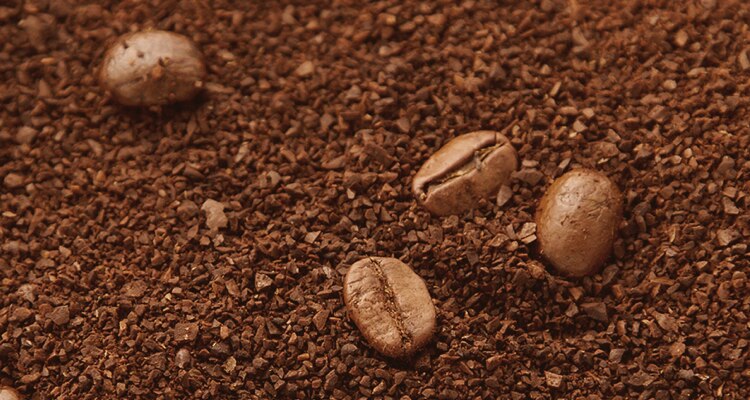 caffe-solubile-prontissimo-intenso-materia-prima-m-529.png